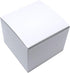 100 Count Skull Head Skeleton Shaped Paper Clips, White, Great for Collectors or Office Gift, Comes in Round Tin