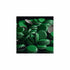 144 26mm FastRack Oxygen Absorbing Beer Bottle Caps Pry-Off Green Standard Homebrew Bottle Tops for Glass Bottles