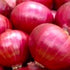 Instant Latch 250 Red Creole Onion Seeds for Planting Non GMO Heirloom Seeds Fresh