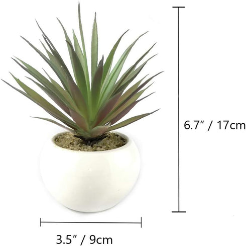 TUOKORGREEN Small Artificial Plants in Ceramic Pots, Faux Greenery Set of 2, 3.5" x 6.7"