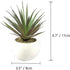 TUOKORGREEN Small Artificial Plants in Ceramic Pots, Faux Greenery Set of 2, 3.5" x 6.7"