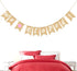 LUOZZY We Eloped Banner, Romantic Love Heart Banner, Proposal Photo Props for Engagement Wedding Party Decorations