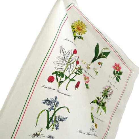Samuel Lamont Botanic Garden Kitchen/Tea Towel, 100% Cotton, Imported from UK