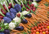 Apexmode 12 Premium Winter Vegetable Seeds for Planting Organic Non-GMO Heirloom Seeds Varieties: Radish, Pea