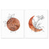 Terracotta Sun and Moon Print - Set of 2 Minimal Wall Art - 8x10 inch Flower Line Print, Boho Decor