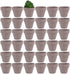 Yishang 1.9 Inch Tiny Grey Terracotta Pots, Pack of 36 Mini White Clay Pots with Drainage Holes