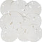 Tumbler Home White Sand Dollars 3" to 3.5" Set of 15 -