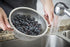 Tablecraft 2.5 Quart Colander with Handles, Stainless Steel