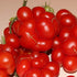 Reisetomate 20 Tomato Travel Voyage Seeds for Planting About Seeds
