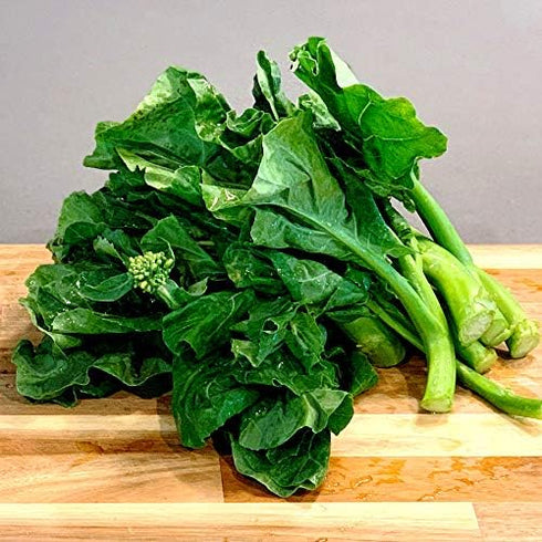 93% Gaea's Blessing Seeds - Gailan Seeds - Non-GMO Seeds with Easy to Follow Planting Instructions - Chinese Broccoli