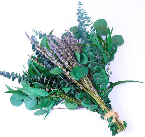 2 Bundles Dried Eucalyptus & Lavender Flowers, 100 pcs 17'' Natural Real Hanging Eucalyptus Leaves for Bathroom Decor
