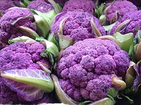 NIKA SEEDS 100 Seeds Vegetable Cauliflower Purple Cabbage - Seeds