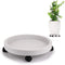 Skelang Plant Caddy 13 Inches, Wheeled Planter Pallet, Plant Stand Dolly for Heavy