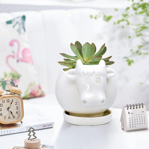 White Cow Ceramic Succulent Planter with Drainage Tray, Indoor Cow Stuff Pen Pencil Brush Holder Decor