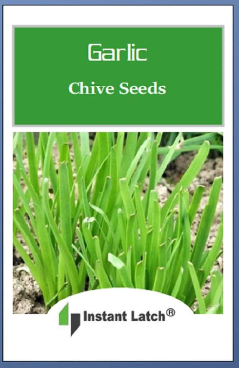 Instant Latch 250 Garlic Chives Seeds | Non-GMO | Fresh Garden Seeds