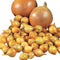 Park Seed Candy Hybrid Onion Seeds Day-Neutral Yellow Variety, Early and Flavorful