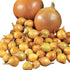 Park Seed Candy Hybrid Onion Seeds Day-Neutral Yellow Variety, Early and Flavorful