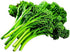 Park Seed Aspabroc Hybrid Broccoli Seeds, 2 Packs of 20 Seeds