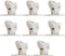 Amazing Drapery Hardware Large White Roman Shade Cord Lock - 8-Pack with Dual Brass Wheels, Holds 5 Lift Cords