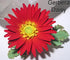 WSA Daisy 12 Petal Cutter Set, 4 Pieces