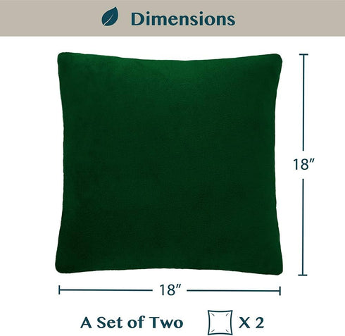 PAVILIA Emerald Green Throw Pillow Covers, 18x18 Set of 2, Decorative Pillow Cases for Bed Sofa Couch, Velvet Square