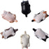 CHICHIC 6 Pack Fun Cat Refrigerator Magnets, Kitchen Decor Fridge Cat Ornament for Cat Lovers