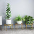 Hewnda 1 Pack Sturdy Gold Metal Plant Stand - Heavy Duty Indoor/Outdoor Use