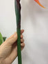 3 Pcs Large 32 Inch Bird of Paradise Permanent Flower, UV Resistant No Fade Soft Rubber PU Artificial Plants, Orange Red