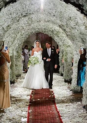 Bringsine Baby Breath Gypsophila Wedding Decoration, White Colour Pu Flowers, 30 Pieces