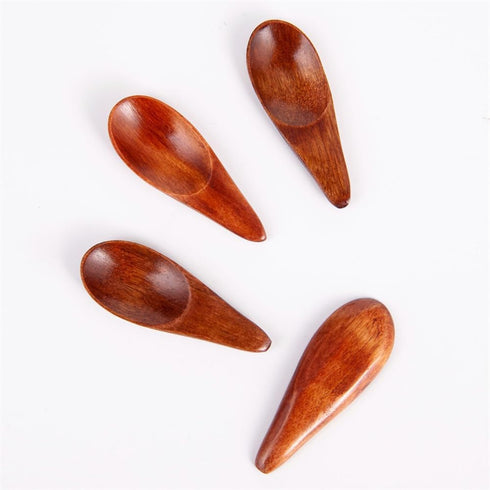 3 Pieces Mini Wooden Spoons, Small Salt Spoon with Short Handle, 2.76 inch Brown Wood Scoop for Spice Jars.