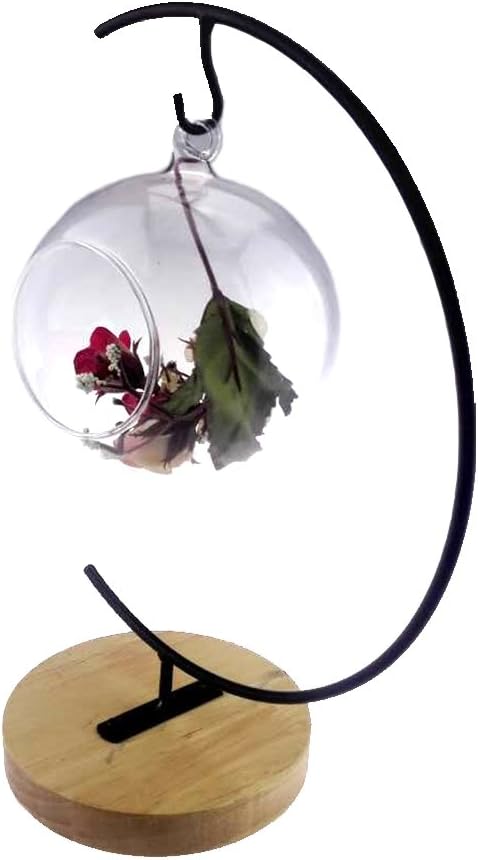 Archi G-Shaped Ornament Display Stand, Iron Pothook Stand for Hanging Glass Terrarium/Picture with Wood Base