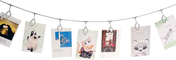 TFu Wall Hanging Photo Display, DIY Picture Frame String with 12 Clips for Photos, Notes and Artworks