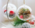 Plastic Ball Ornament, Clear, 70mm, Pack of 12