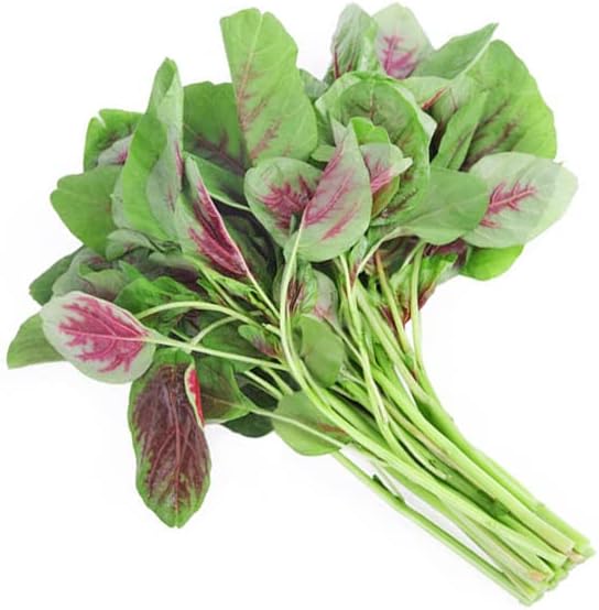 HipGirl 500 Amaranth Seeds for Planting.Chinese Spinach Seeds for Planting(). Non GMO Seed
