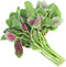 HipGirl 500 Amaranth Seeds for Planting.Chinese Spinach Seeds for Planting(). Non GMO Seed