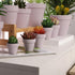 Yishang 1.9 Inch Tiny Pink Terracotta Pots, Pack of 12 Mini White Clay Planters with Drainage Holes for Tiny Cactus