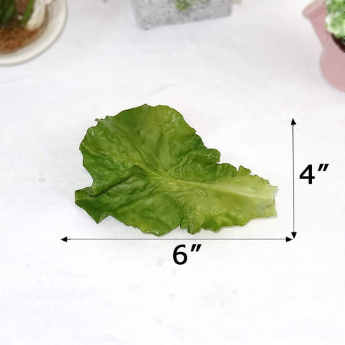 Nice purchase Set 6 of Realistic Green Lettuce Leaves - PVC Artificial Vegetable Models