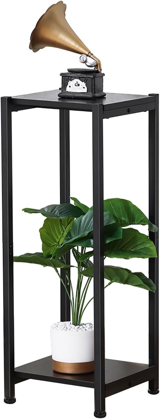 Dipion Tall Plant Stand Indoor,31 Inch Plant Stands,2 Tier Metal Plant Stand