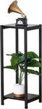 Dipion Tall Plant Stand Indoor,31 Inch Plant Stands,2 Tier Metal Plant Stand
