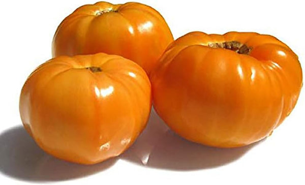 Amana Orange Heirloom Tomato Seeds - Large Tomato - One of The