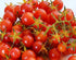 Harley Seeds 30 Sweet Pea Currant Tomato Seeds, Heirloom Non GMO, Extra Sweet and Heavy Yielding, Low Acid