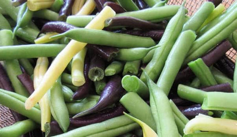 HipGirl 45ct+ Bean Seeds for Planting Vegetables and Fruits. Pole Beans,Bush Beans,Romano Beans.Non GMO Garden Seeds