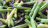 HipGirl 45ct+ Bean Seeds for Planting Vegetables and Fruits. Pole Beans,Bush Beans,Romano Beans.Non GMO Garden Seeds