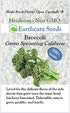 500 Broccoli Green Sprouting Calabrese Seeds (Brassica oleracea) Non GMO - Heirloom - Open Pollinated