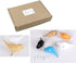 DesignSter Premium Resin Bird Coat Hooks - Set of 5 Decorative Wall Mounted Hangers for Home, Living Room, Bedroom, Shop