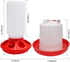 Lucky Farm 1L Chick Feeder and Waterer kit Drinker & Feeder for Chickens Broilers,& Birds Quail Pigeon