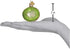 Old World Christmas Kiwi Glass Blown Ornaments for Christmas