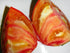 Harley Seeds 30 1-2 LB Giant Mr. Stripey Tomato Seeds, Heirloom Non-GMO, Low Acid, Indeterminate, Open-Pollinated, Rich