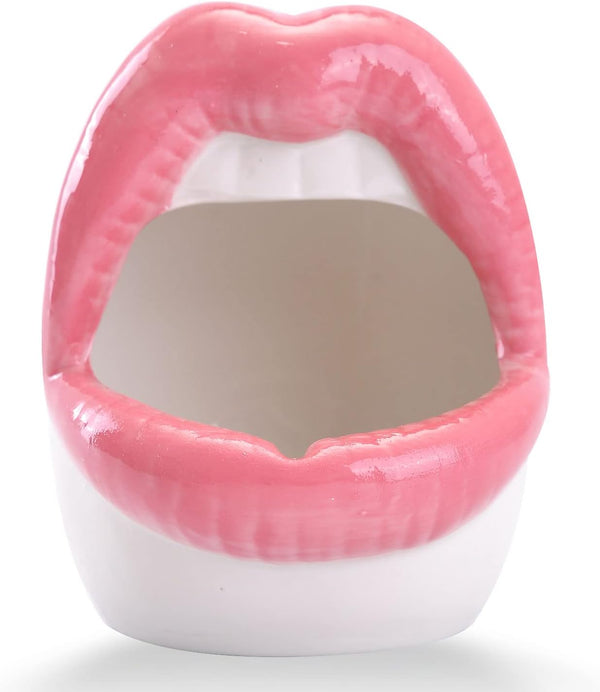 WHJY Sexy Lips Planter Pot, Pink Ceramic Succulent Planter