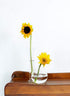Serene Spaces Living Set of 2 Clear Ball Bud Vase - Vintage Style Vase for Flowers, 4" Tall and 4" Diameter